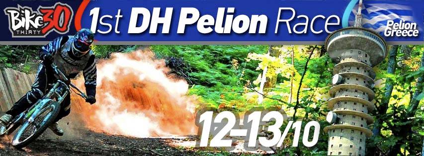 pelion dh 2013