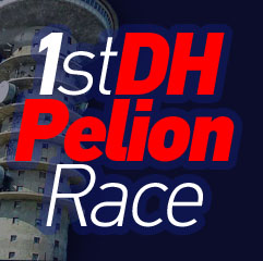 pelion dh 2013 small