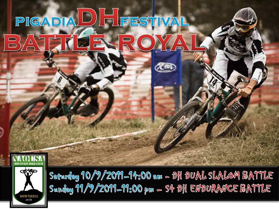 pigadia_dh_festival_battle_royal2